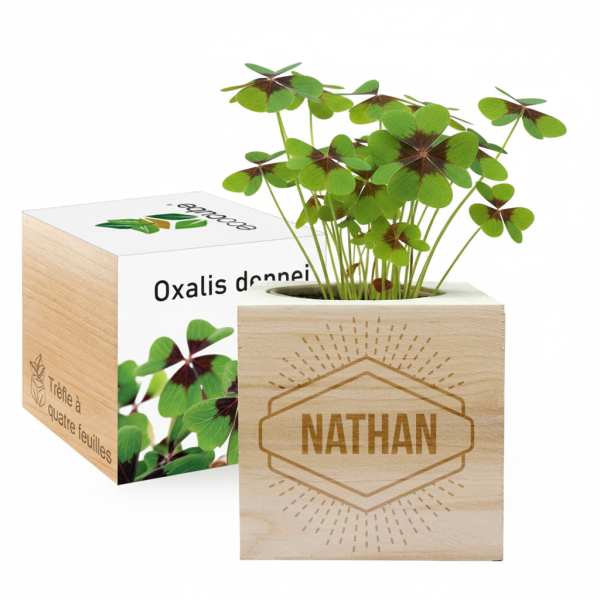 EcoCube met Naam EcoCube met Naam
