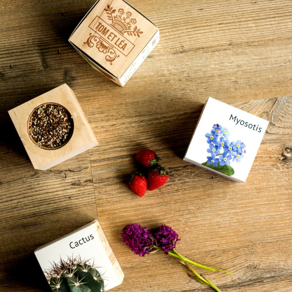 EcoCube met Naam EcoCube met Naam