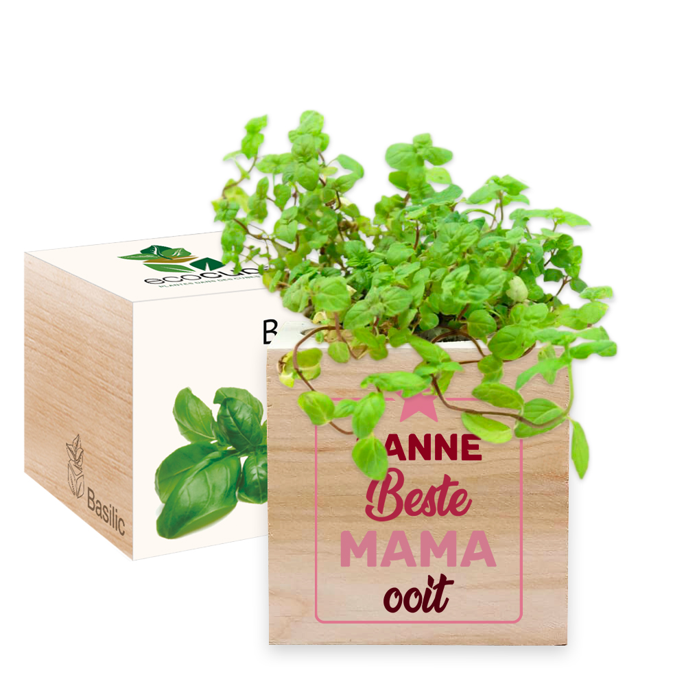 EcoCubes bedrukken EcoCubes bedrukken