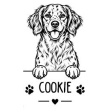 Bretonse spaniel