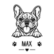 Franse bulldog