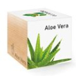 Aloë Vera