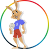 Volleybal
