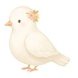 Witte duif