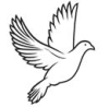 Witte duif