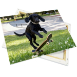 Canvas op houten frame