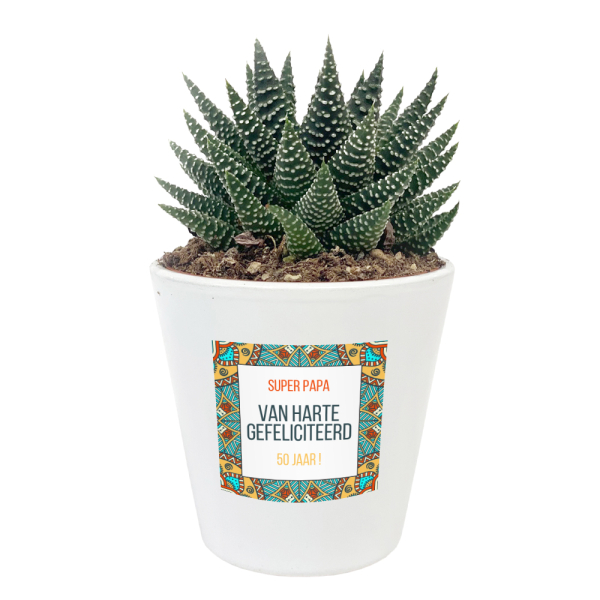 Gepersonaliseerde pot met plant
