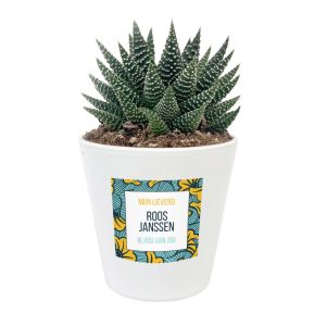 Bloempot personaliseren met Ghana sticker Bloempot personaliseren met Ghana sticker