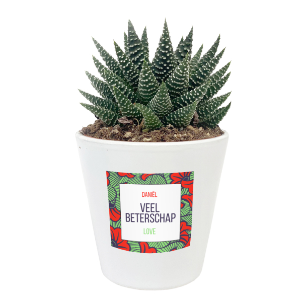 Bloempot en plant personaliseren