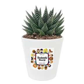 Bloempot met Haworthia personaliseren - Bedankt Juf