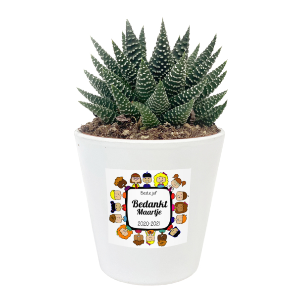 Bloempot bedrukken - Bedankt juf