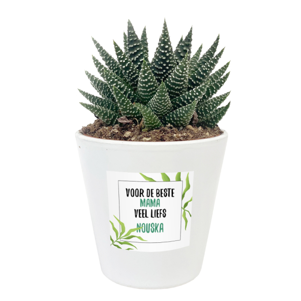 Bloempot bedrukken - bladeren design