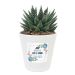 Gepersonaliseerde bloempot met plant