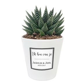 Bloempot met vetplant bedrukken - Design sticker