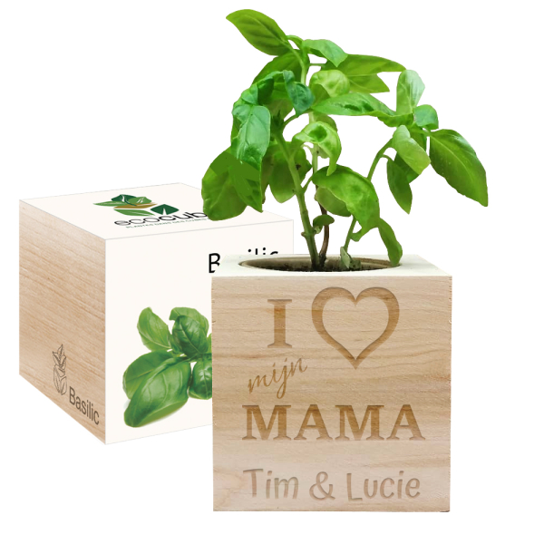 EcoCube Mama I heart mijn mama