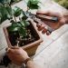 Gentlemen's Hardware Gardening Multitool mes graveren 3 