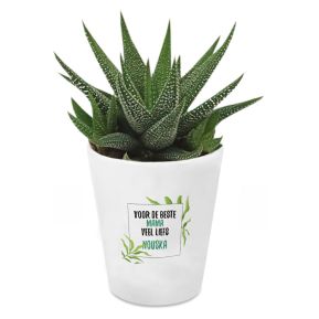 Bloempot met Haworthia bedrukken - Bloemen design