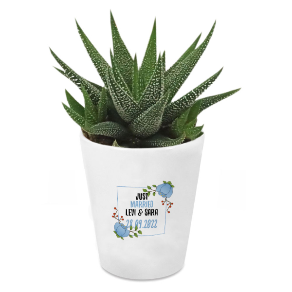 Gepersonaliseerde bloempot met plant