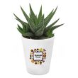 Bloempot met Haworthia personaliseren - Bedankt Juf