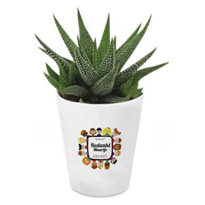 Bloempot met Haworthia personaliseren - Bedankt Juf