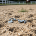 Sleutelhanger gegraveerd paard