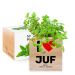 Ecocube bedrukt in kleur - Beste Juf of Meester - I love