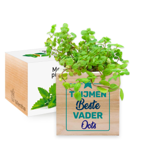 EcoCube bedrukt voor Vaderdag EcoCube bedrukt voor Vaderdag