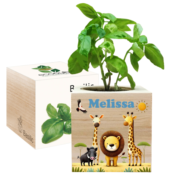 Ecocube bedrukt Safari