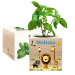 Ecocube bedrukt Safari