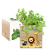 Ecocube bedrukt Safari