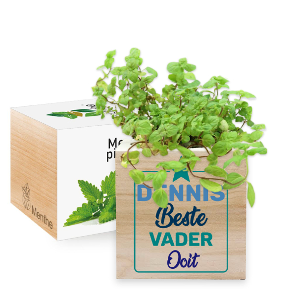 EcoCube bedrukt voor Vaderdag - Beste vader ooit