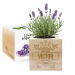 EcoCube met Naam EcoCube met Naam