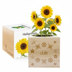 EcoCube met Naam