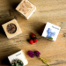 EcoCube met Naam EcoCube met Naam