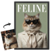 FELINE-magazinecover op basis van een foto FELINE-magazinecover op basis van een foto