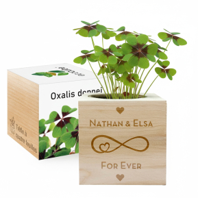 Gepersonaliseerde EcoCube Liefde