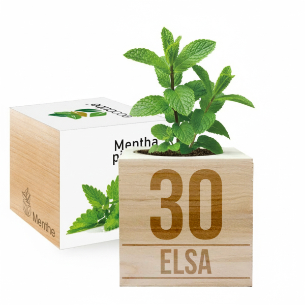 Gepersonaliseerde verjaardags EcoCube