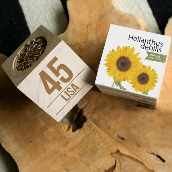 Gepersonaliseerde verjaardags EcoCube