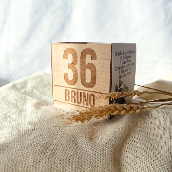 Gepersonaliseerde verjaardags EcoCube