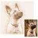 Sepia digitale tekening vanaf je foto - hond