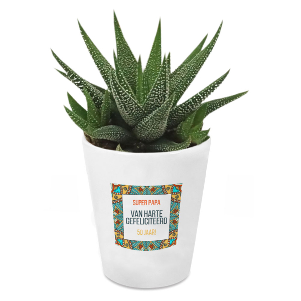 Gepersonaliseerde pot met plant