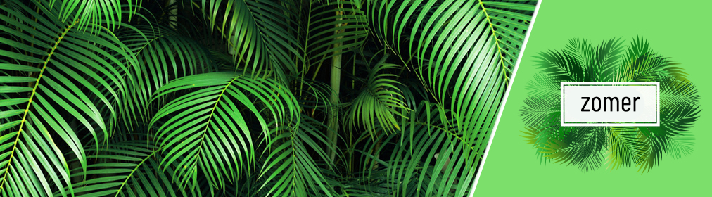 Jungle collectie Jungle collectie