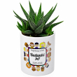 Bloempot met Haworthia personaliseren - Bedankt Juf