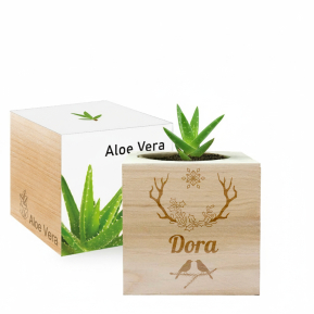 Aangepaste Kerst EcoCube