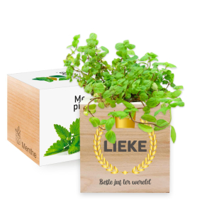 Ecocube bedrukt in kleur - Beste Juf of Meester