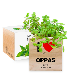 EcoCube bedrukken - Bedankt voor het oppassen
