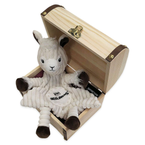Gepersonaliseerde Dglingos doos en knuffel