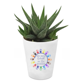 Plantje met gepersonaliseerd bloempot - Kring handjes