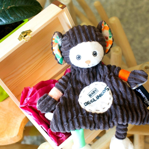 Gepersonaliseerde Déglingos doos en knuffel