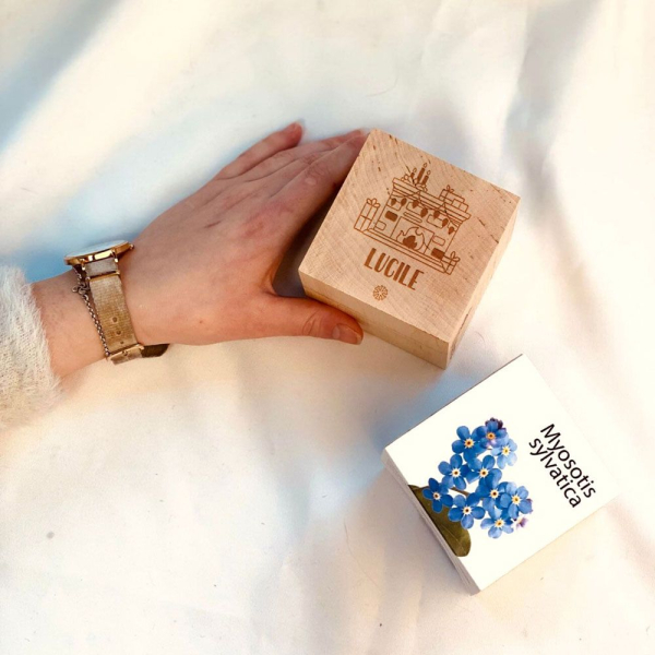 Aangepaste Kerst EcoCube